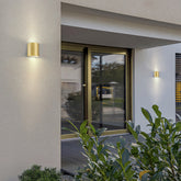 Brushed Brass